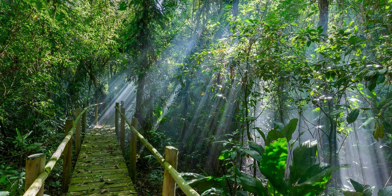 Imagem aérea da Praia de Itamambuca