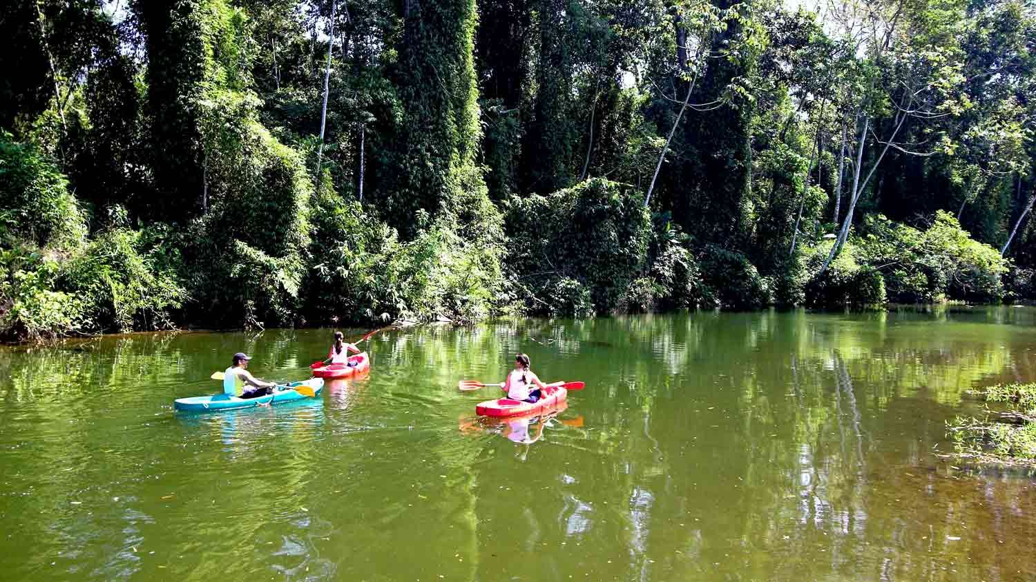 Imagem aérea da Praia de Itamambuca