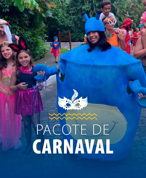 tarifas pacote carnaval
