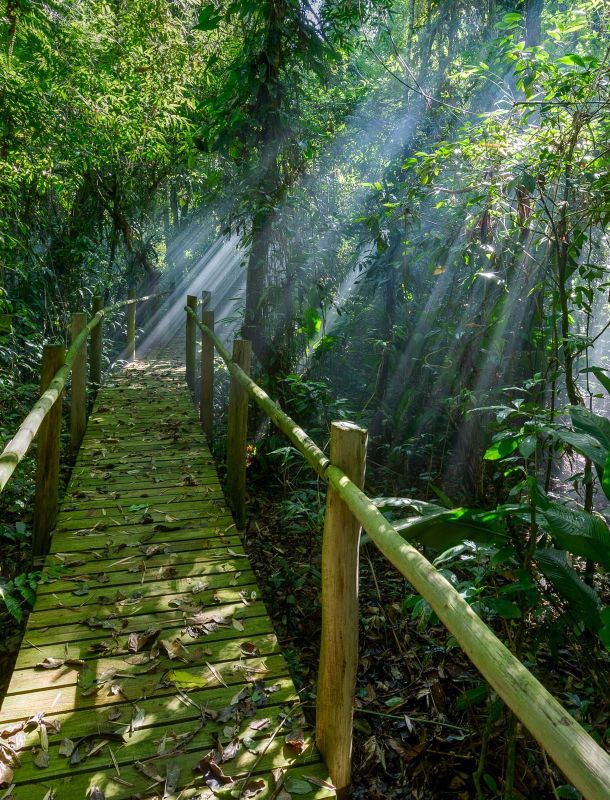 Eventos | Trilha dos Guaiamuns no Itamambuca Eco Resort