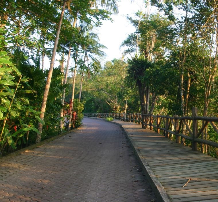 Resort | Rua interna do Itamambuca Eco Resort cercada por vegetação da Mata Atlântica