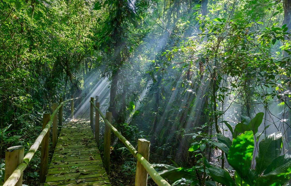 Eventos | Trilha dos Guaiamuns no Itamambuca Eco Resort